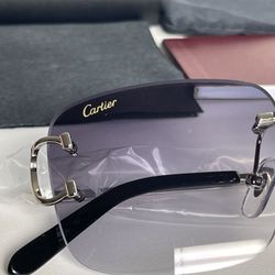 Cartier Glasses, Black Lense , Silver Frame