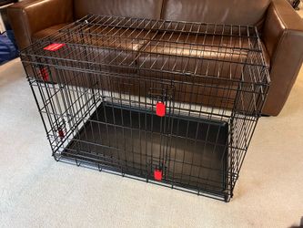 Kong dog crate