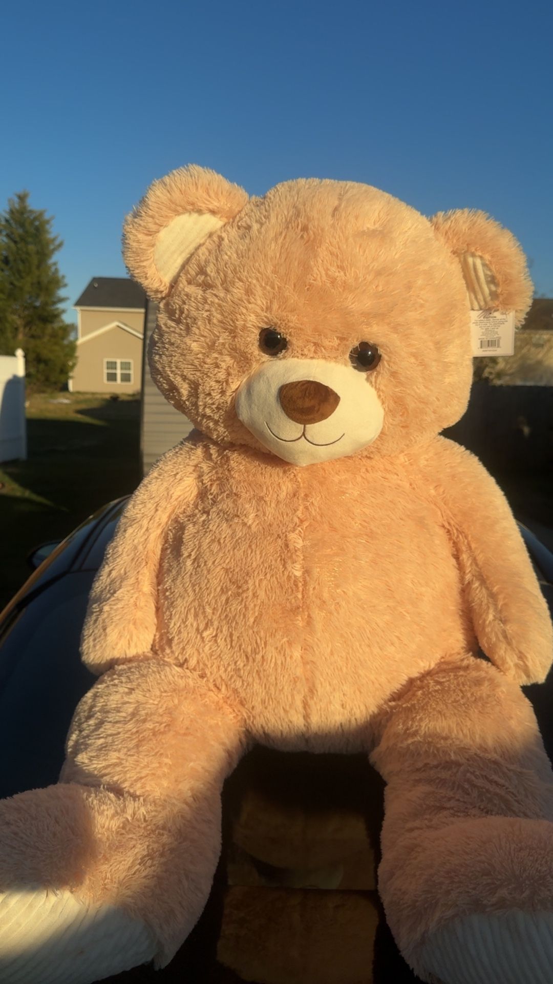 4 Foot Teddy Bear