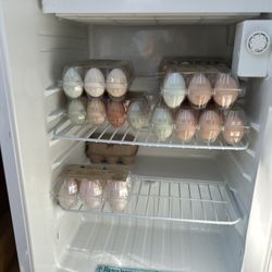 Pasture Raised Eggs
