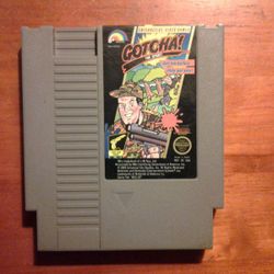 GOTCHA! THE SPORT-Nintendo-NES