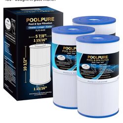 Pool pure Filters C-6430
