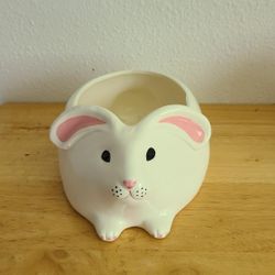 Easter Bunny Teleflora Planter or Candy Dish