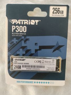 Patriot 256GB Gen3 NVME