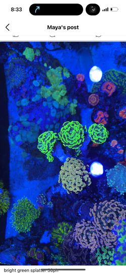 bright af green splatter hammer