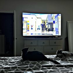 Samsung 78” Curved Tv