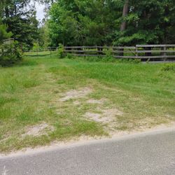 24 Acres For Léase To Cows. 24 Acres Para Renta Dayton TX 