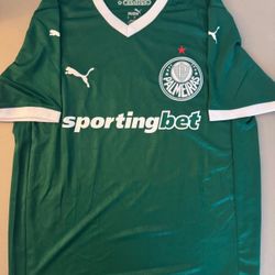 Palmeiras 2025 Soccer Jersey