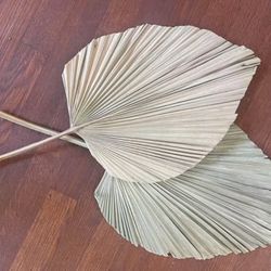 Two Dried Palms 
