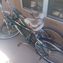 Multi Speed Men's Bike