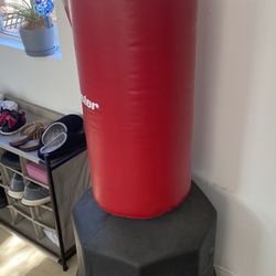 Wavemaster Punching Bag