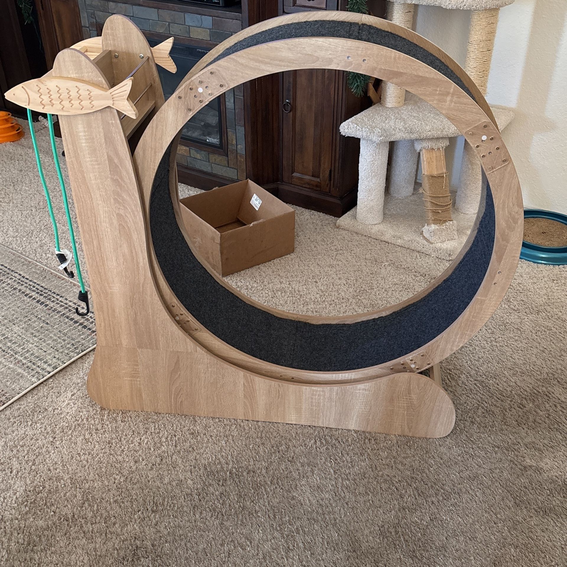 Homegroove Cat Wheel