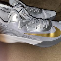Nike Precision IV