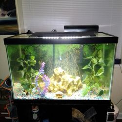 45 Gallon With All Accessories Bio Filter Pump  and Decorations 