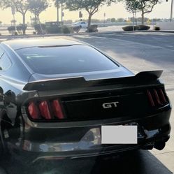 A Mustang 