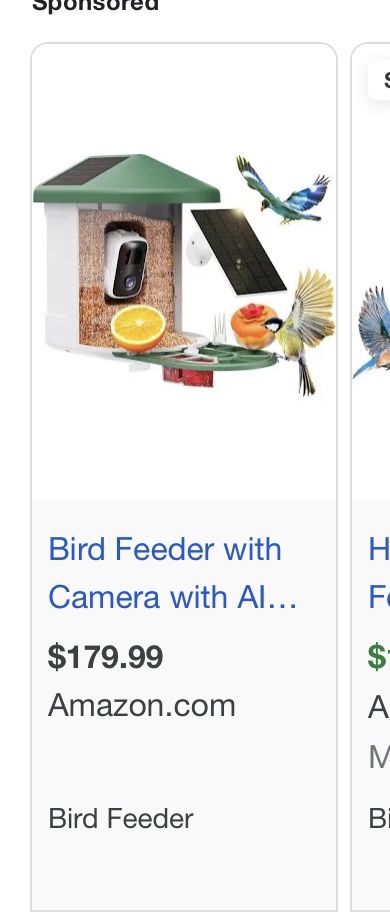 Bird Feeder