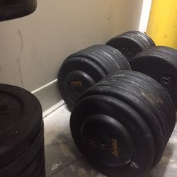 Troy 130 Lbs Dumbbells 