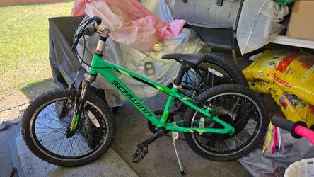 Schwinn Thrasher 20in