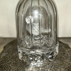 Crystal Bird In A Cage 