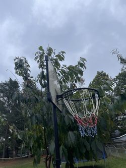 Basket Ball Hoop For Ages 7 And Early Teens