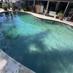 Pool Guy