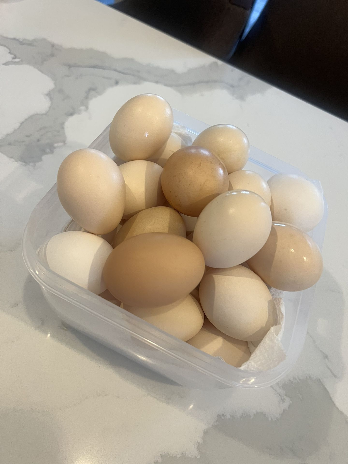 farm raised eggs 