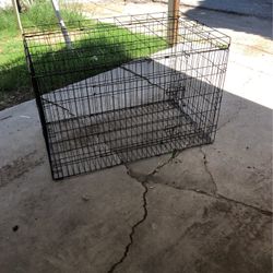 dog cage