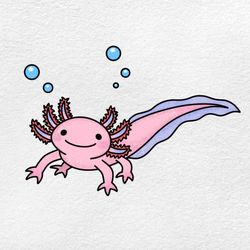 Axolotl