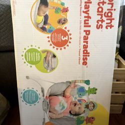 Baby Bouncer