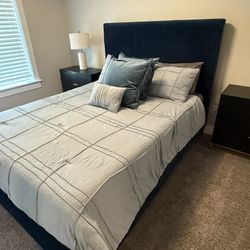 Modern Blue Velvet Queen Bed With Brass Legs