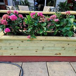 Wood Jinga Plant Box 2 Sizes 