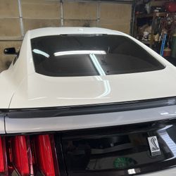 Mustang Shelby Gt 350 Gt500 Wing Spoiler