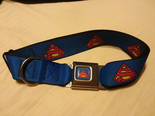 Batman and Superman dog collar