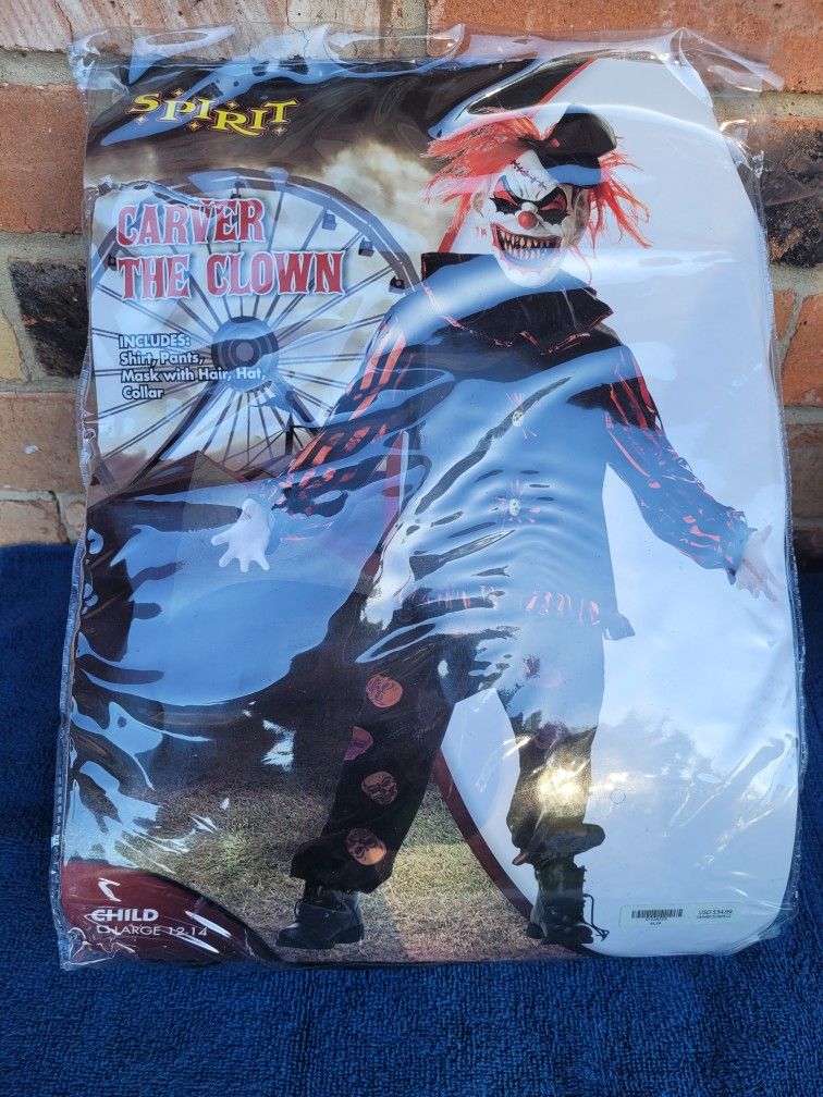 Halloween Costume