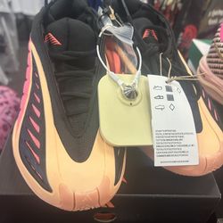 Anthony Edward’s Shoes Size 6