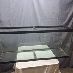 45 Gallon Fish Tank