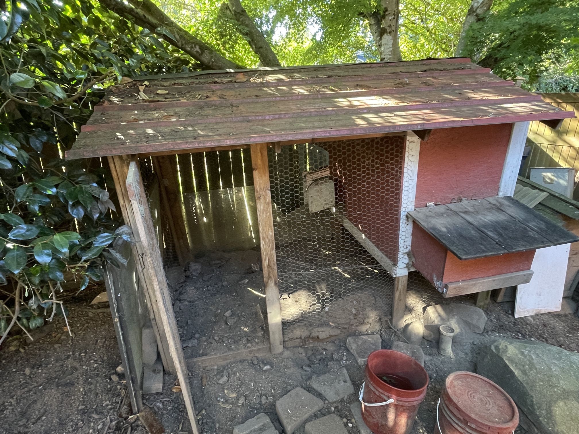 Free Outdoor Chicken Coop + Feeders