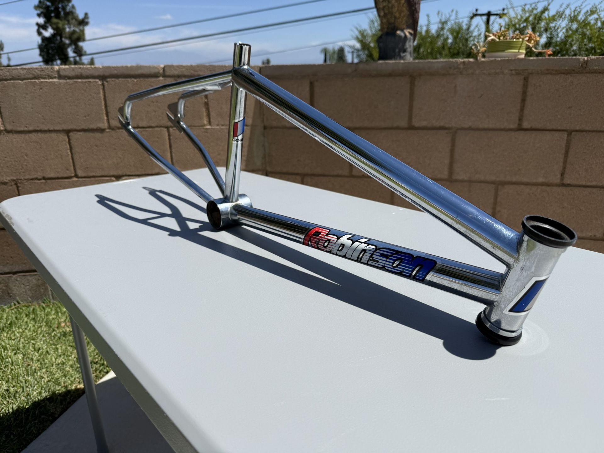 1994 Robinson SST 20” BMX Bike Frame