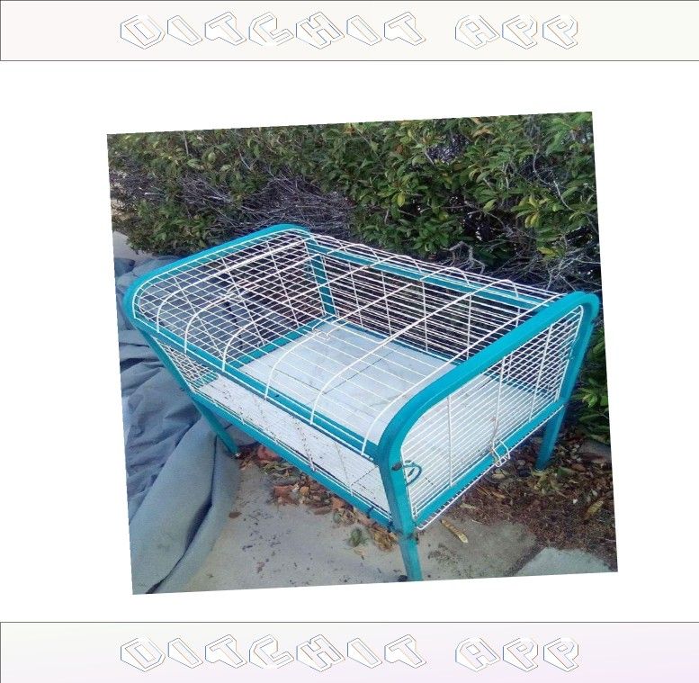 break imagine Sturdy Metal Dog Crates - Trustworthy and Safe