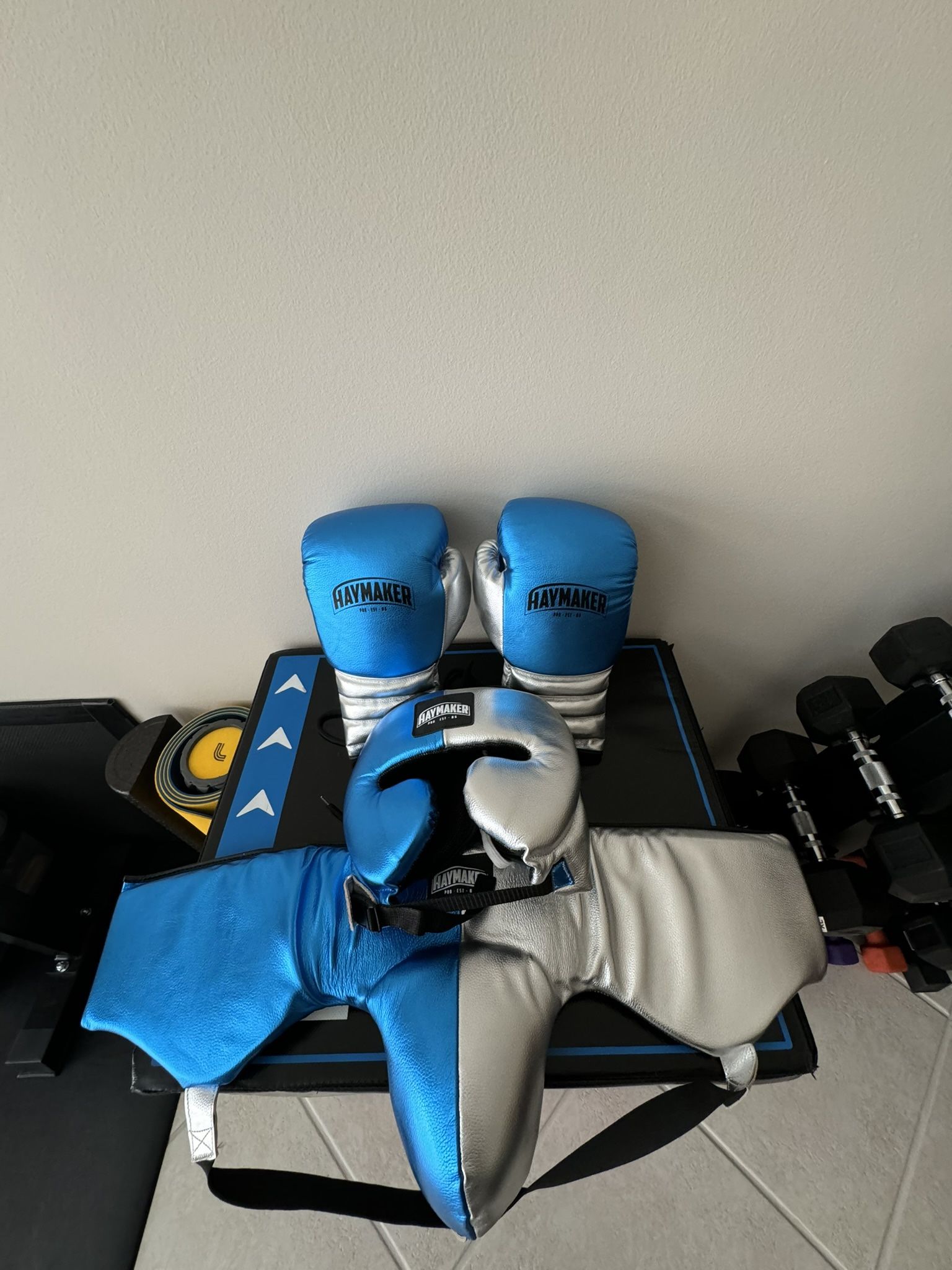 PROFESSIONAL BOXING GLOVES