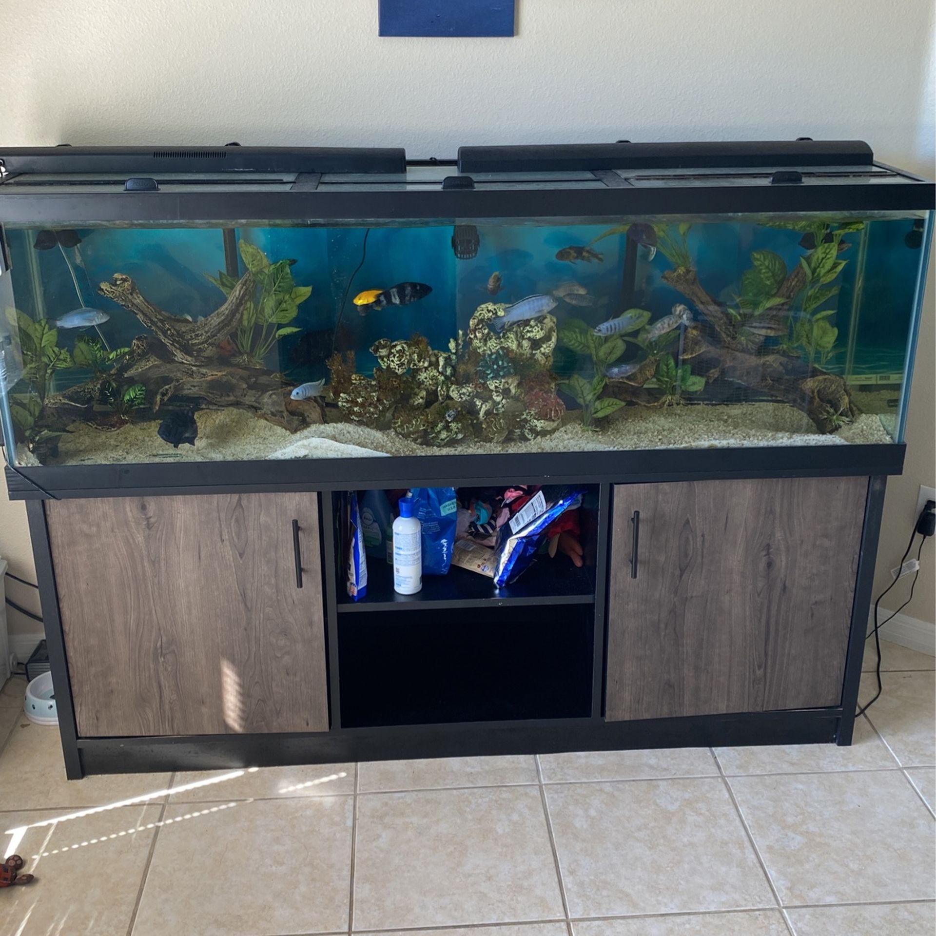 Petsmart 125 2025 gallon tank