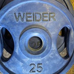 Weider 25 Lbs Plates 