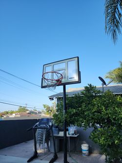 Lifetime Basketball Hoop