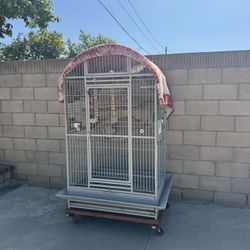 Bird Cage