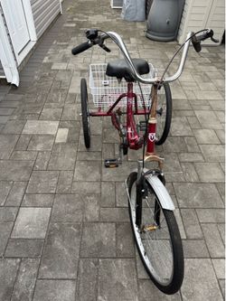 Three wheel Mantis bicycle 24”