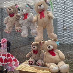 Big Valentine’s Day  Bears