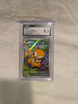 2025 Pokemon White Flare Scraggy