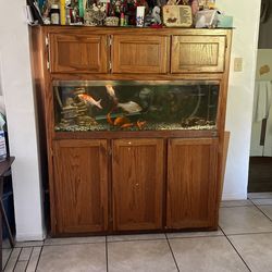 Fish Tank And Furniture