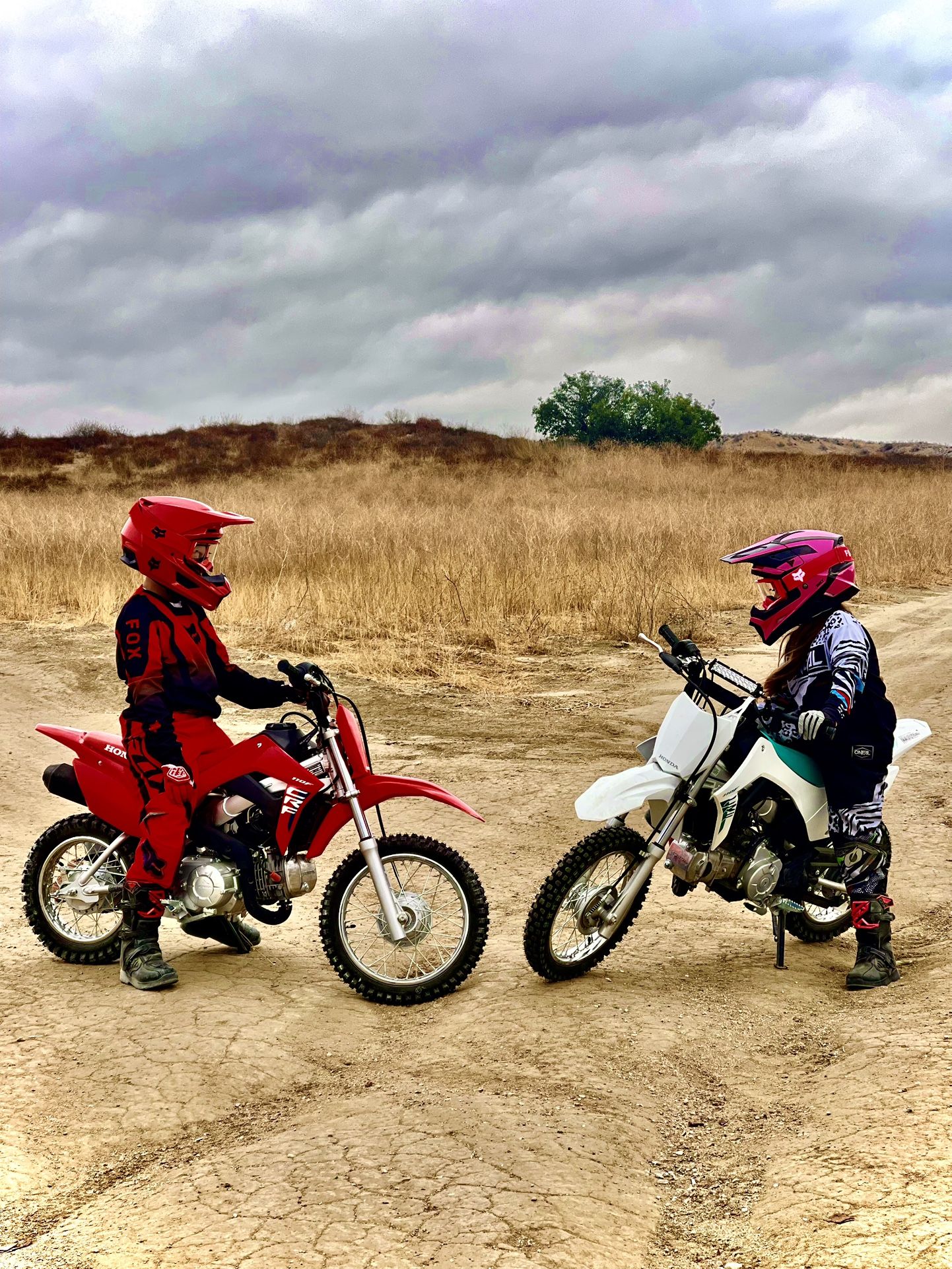 Honda 110 Dirt Bikes