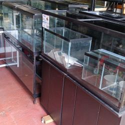 fish Tank  